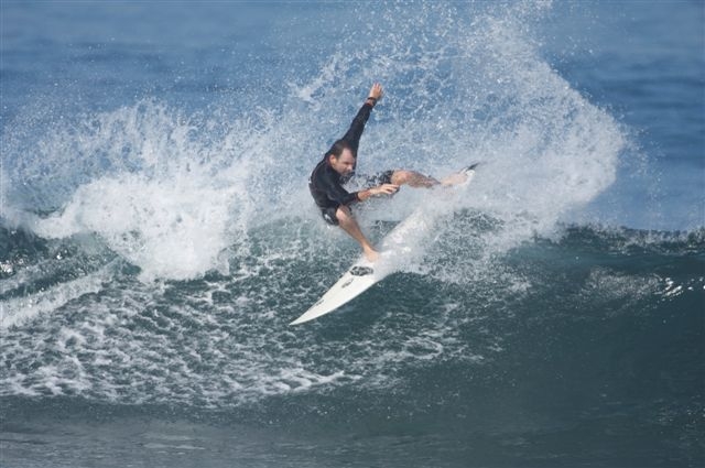 Morceguinho em foto recente