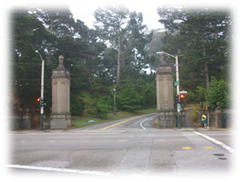 Entrada Golden Gate Park