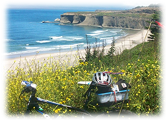 Hwy 1 Perto de San Gregorio Beach